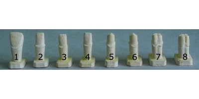 Set of dentist's tooth preparations models